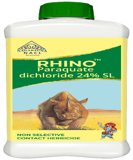 Rhino