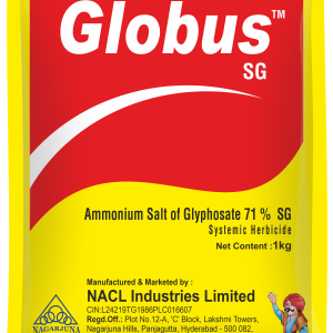 Globus SG