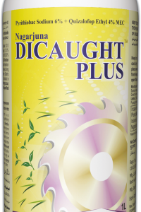 Nagarjuna Dicaught Plus