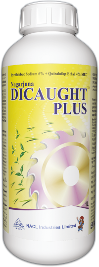 Nagarjuna Dicaught Plus