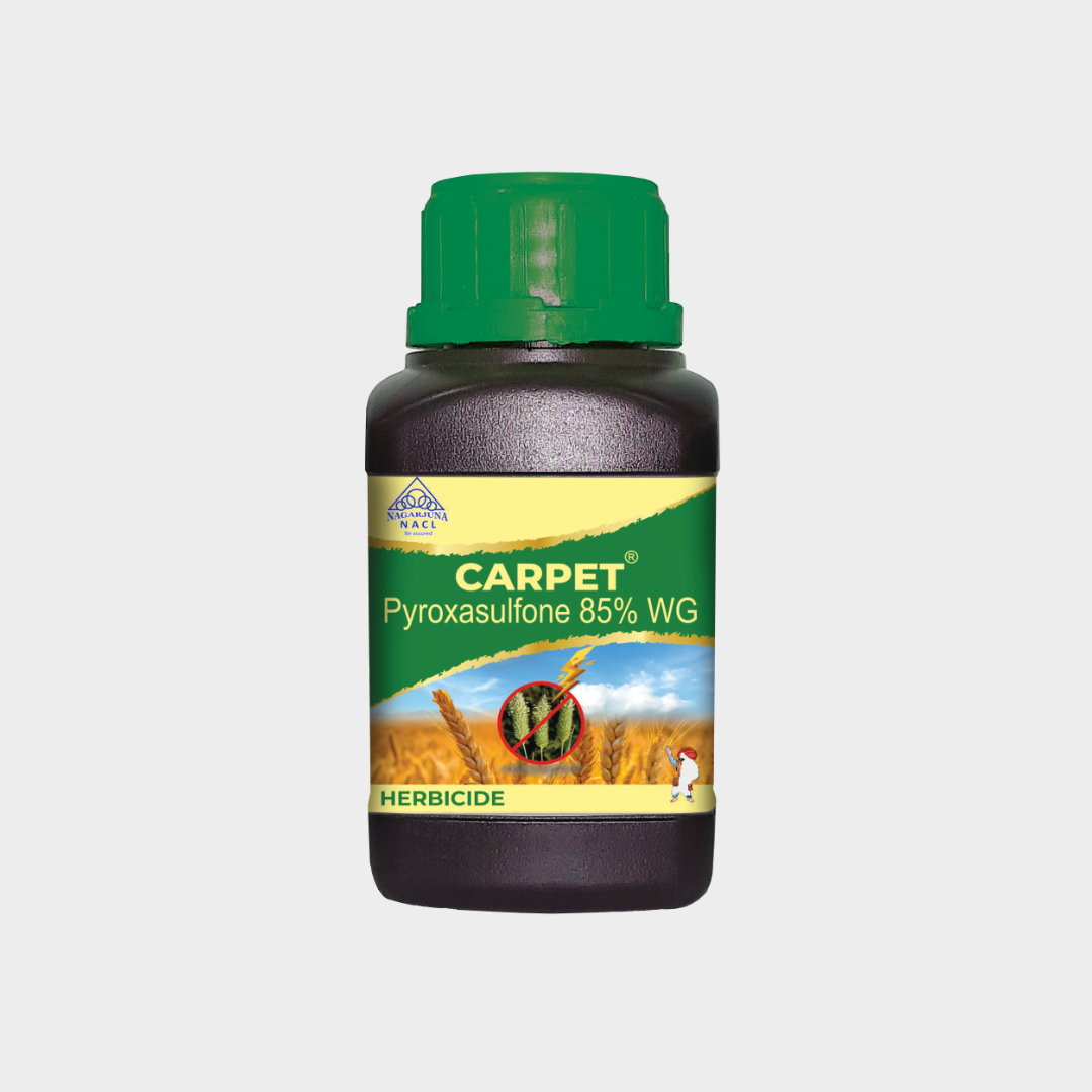 Carpet