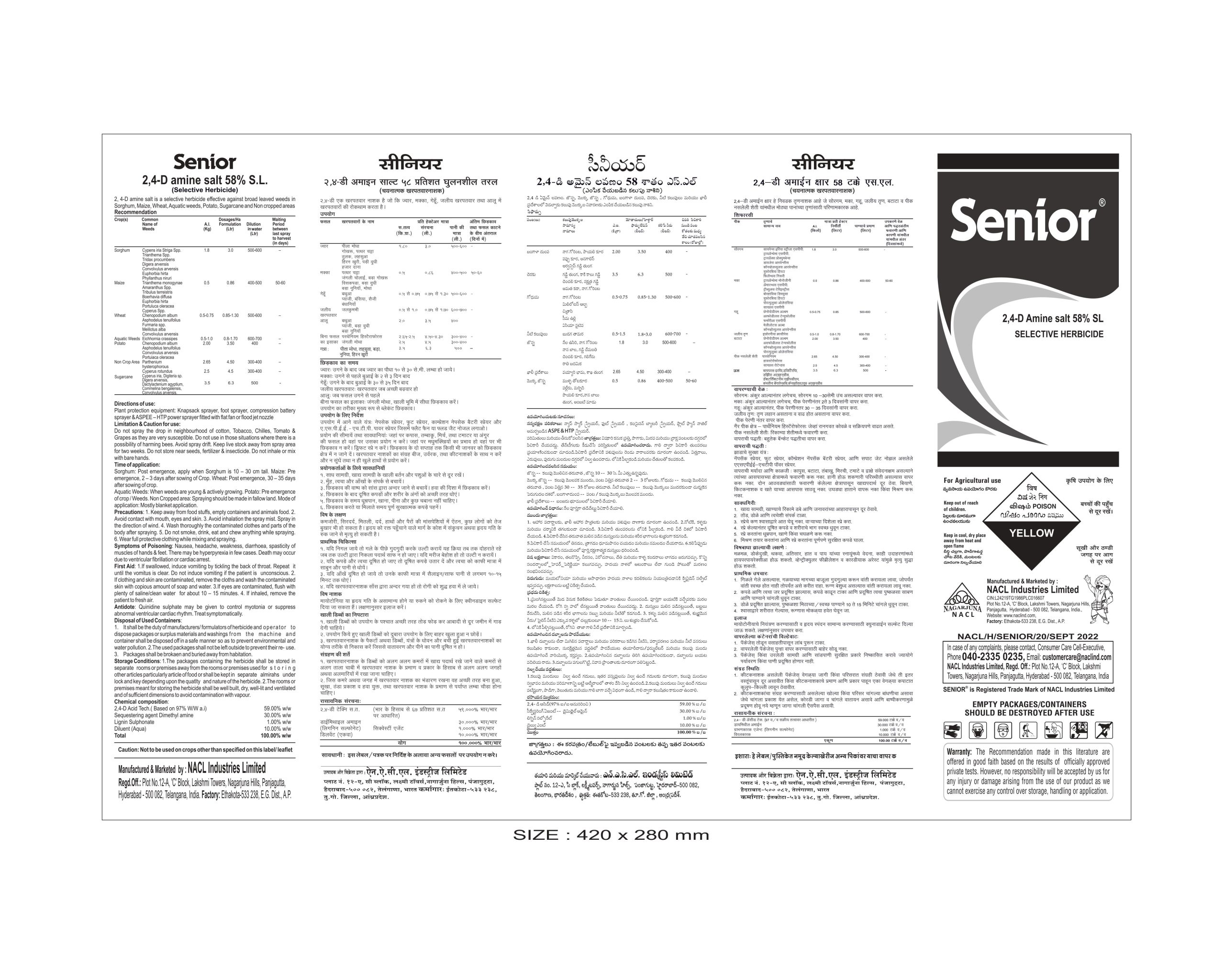 Senior
