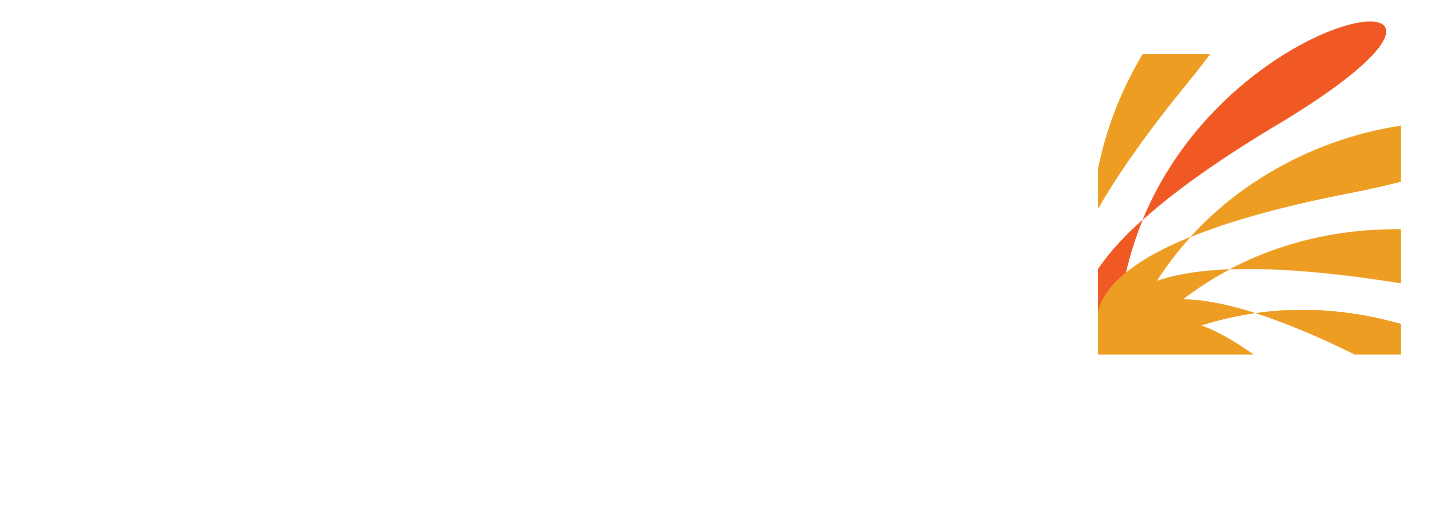 Coromandel Future Positive