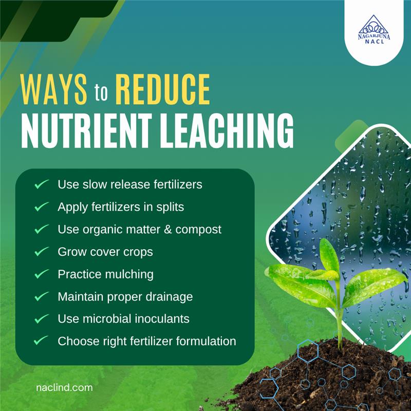 Ways to reduce nutrient leaching