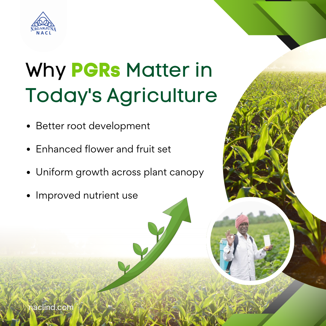 Why Plant growth regulators matter