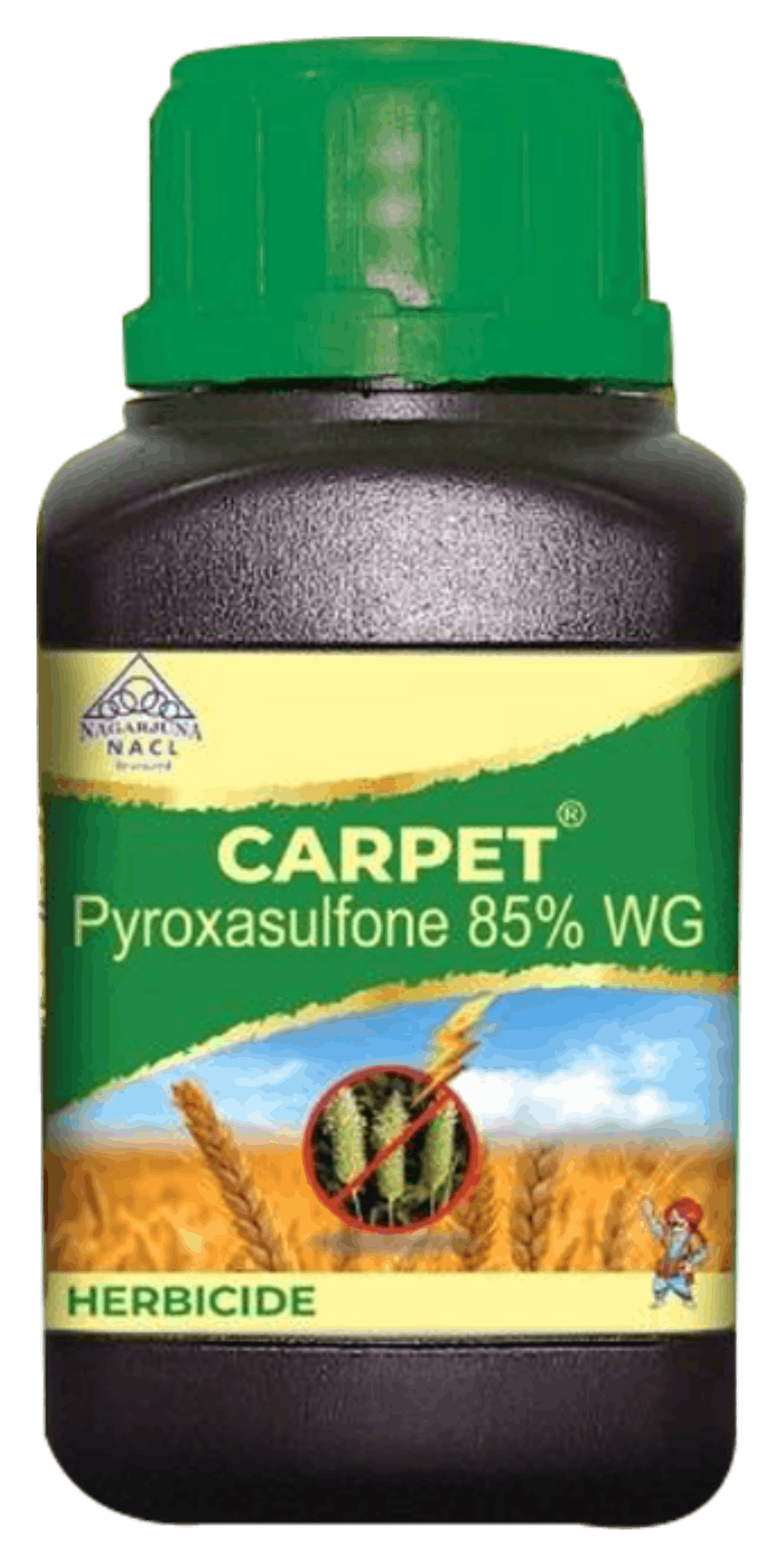 Carpet