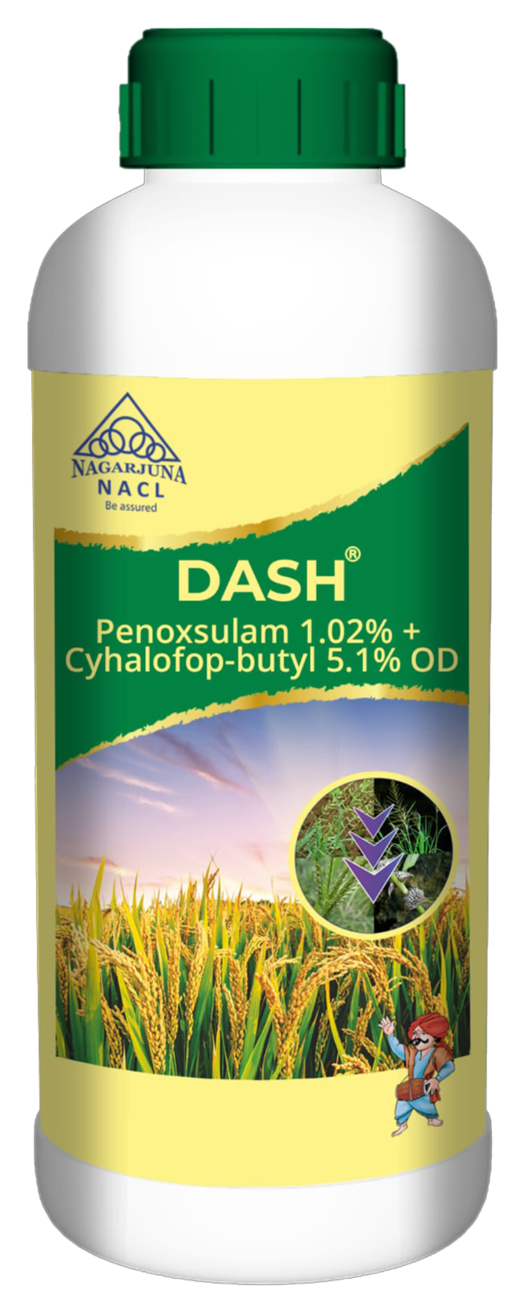 Dash