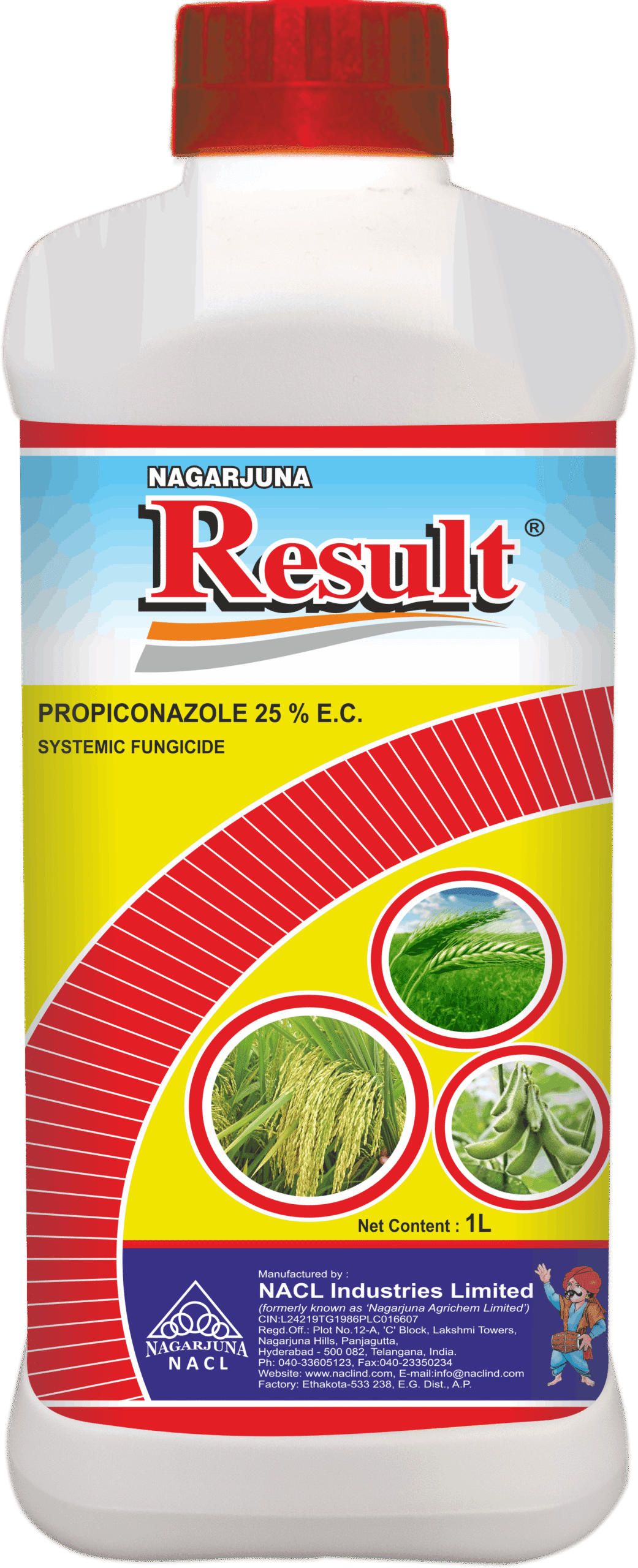 Nagarjuna Result