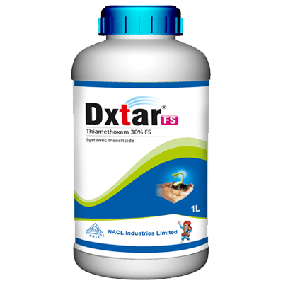DXTAR FS