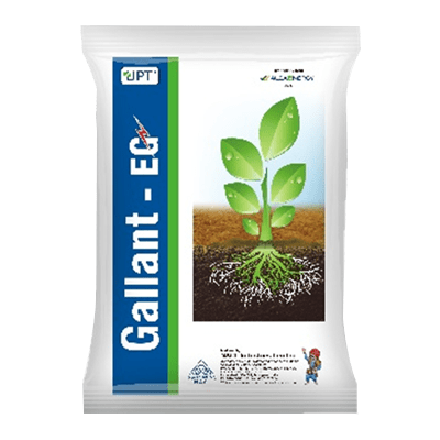 Gallant EG