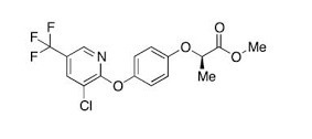 Haloxyfop R methyl Technical