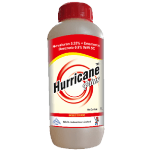 HURRICANE PLUS