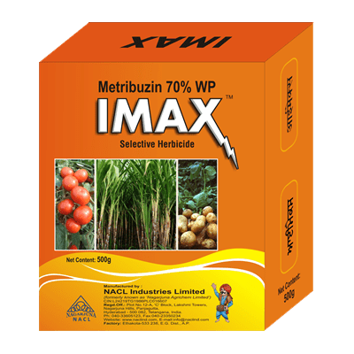 IMAX
