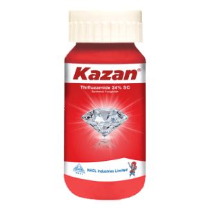Kazan