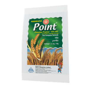 Point