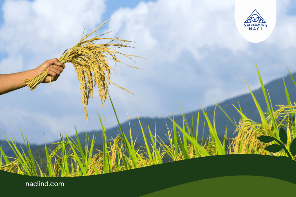 Protect Your Crops: Agrochemical Solutions For Common Pests And Diseases