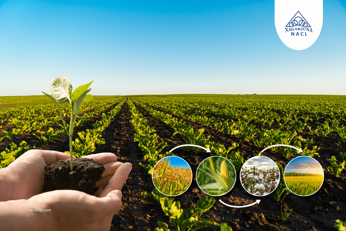 The Benefits of Crop Rotation for Soil Health And Crop Yield