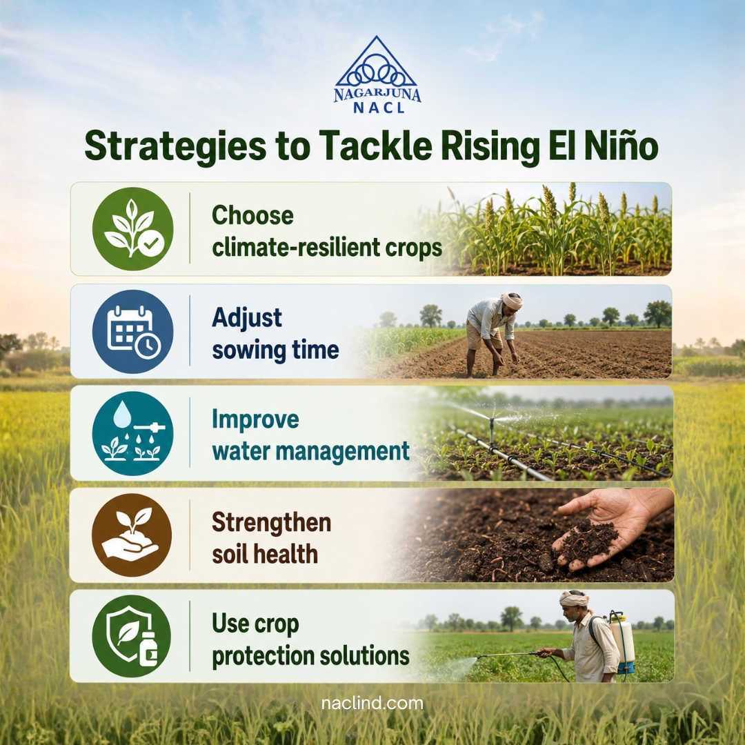 Strategies to tackle El Niño